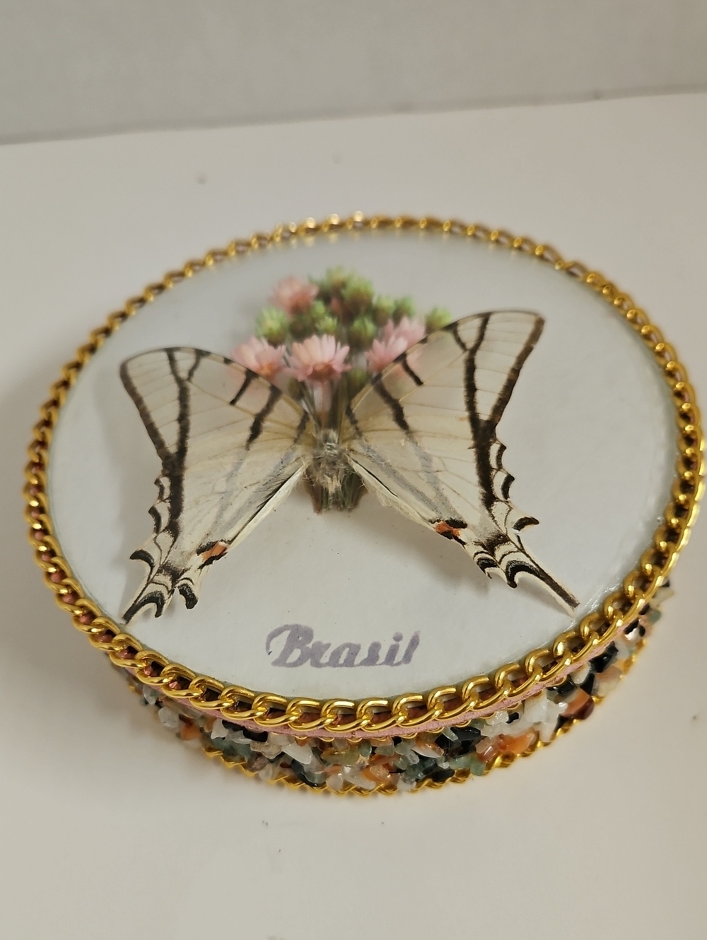 Decorative Round Butterfly Trinket Box with a Preserved Swallowtail Butterfly